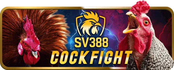 Các game thủ esports đang thi đấu trong một giải đấu lớn